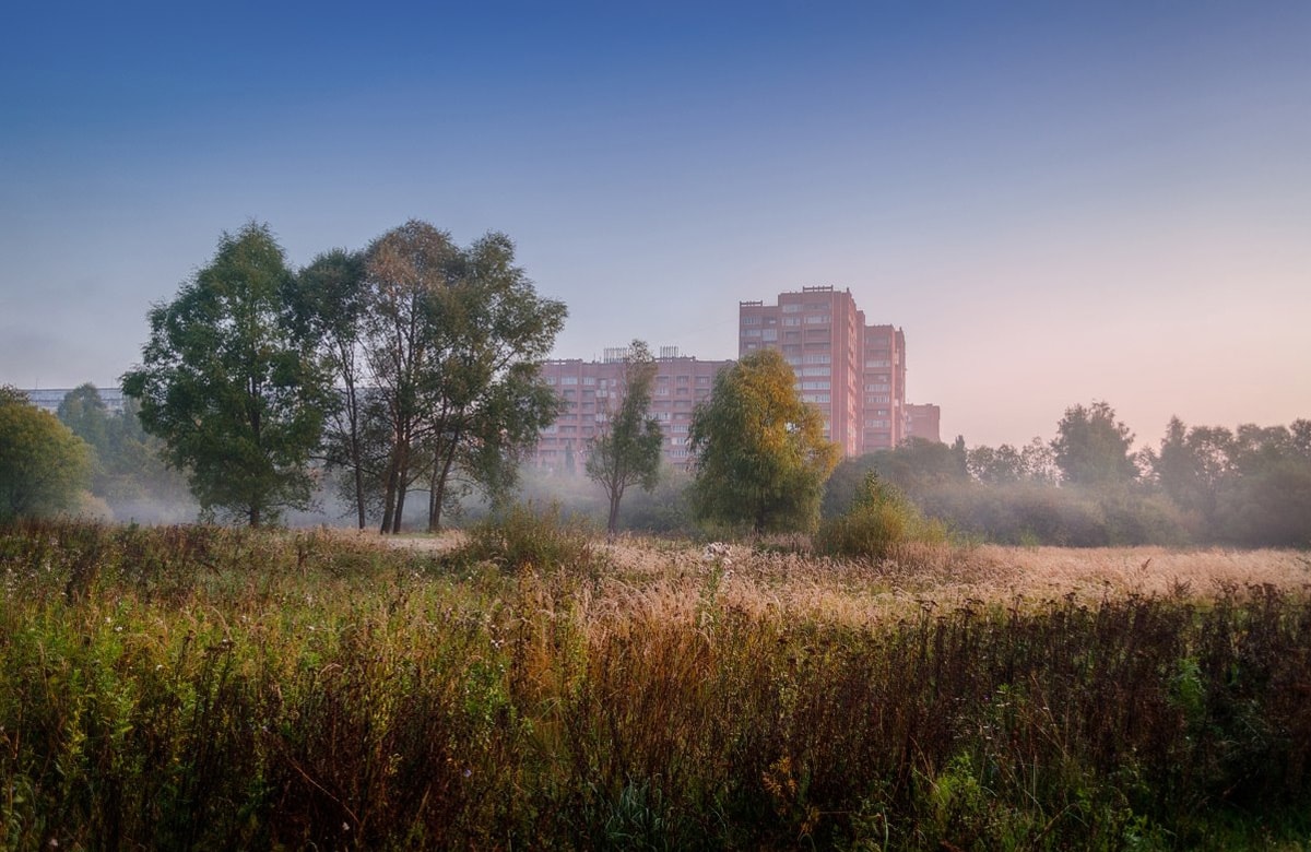 Фото Йошкар-Олы, фотографии Йошкар-Ола, Марий Эл, сосновая роща, Ленинский проспект, утро в парке, туман в лесу, летнее утро