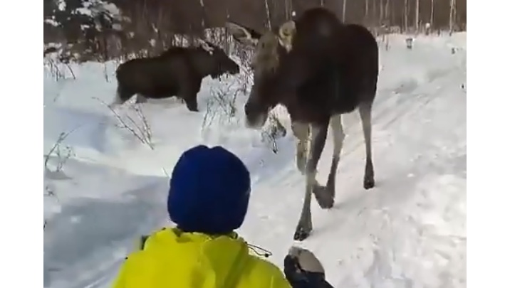 Фото: marimedia.ru