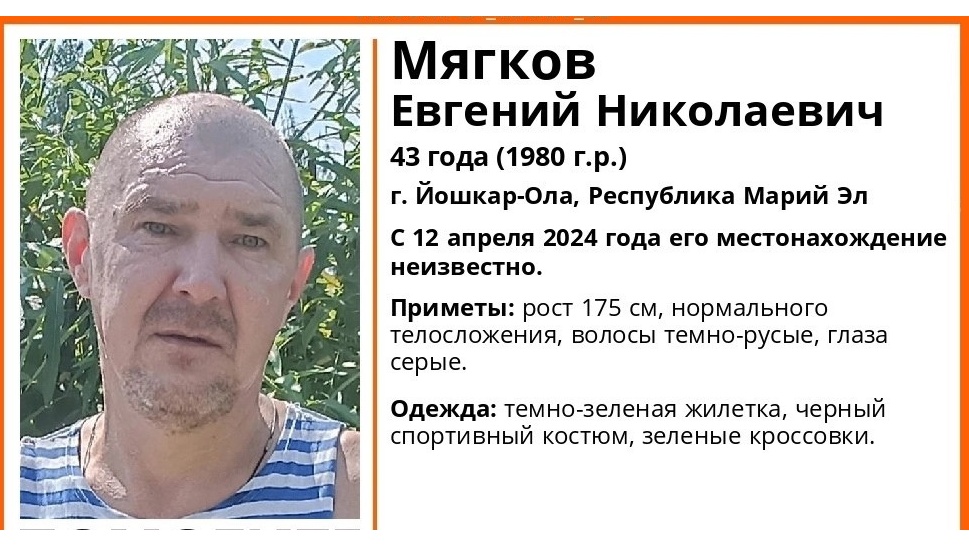 : marimedia.ru