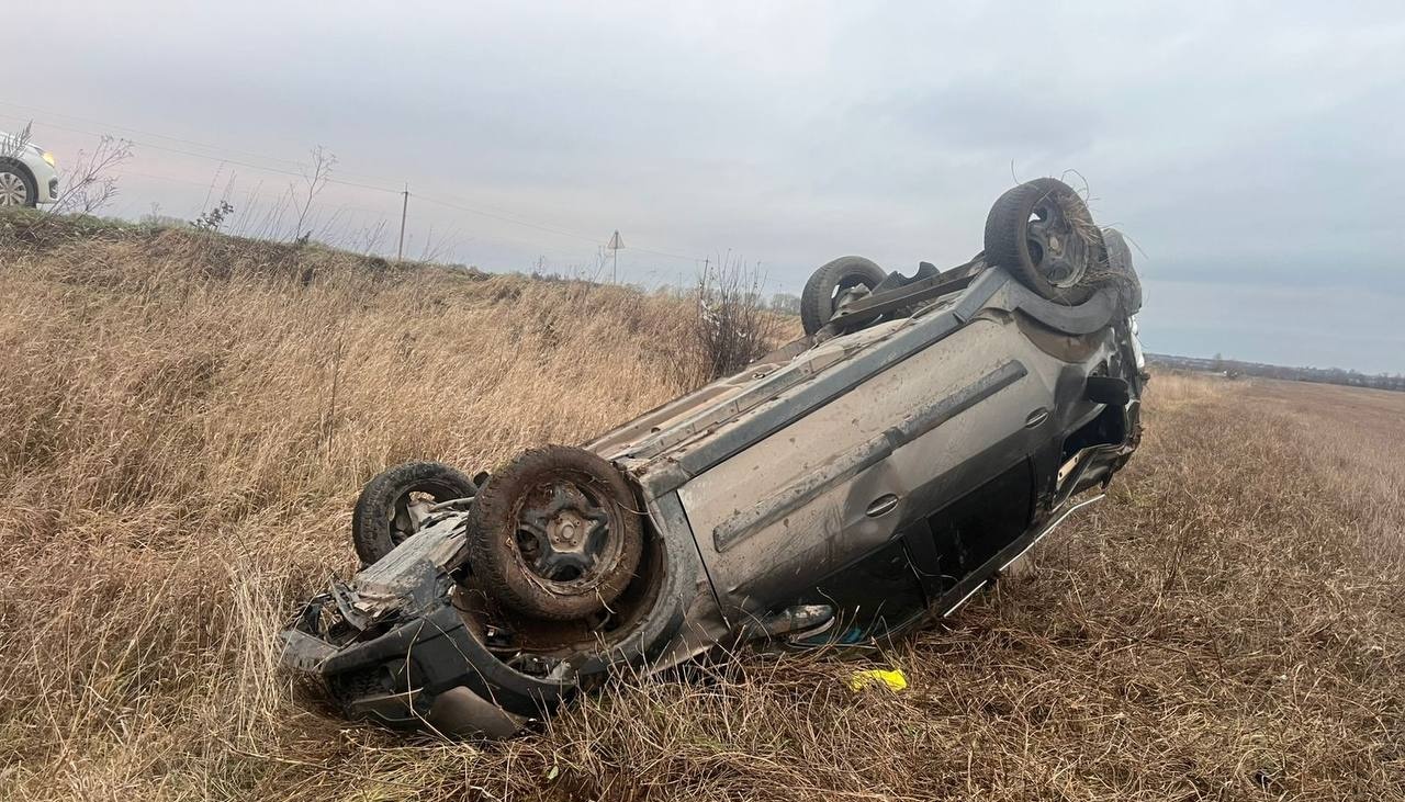 Фото: marimedia.ru