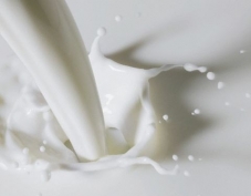 Марийские антимонопольщики предполагают наличие сговора на молочном рынке