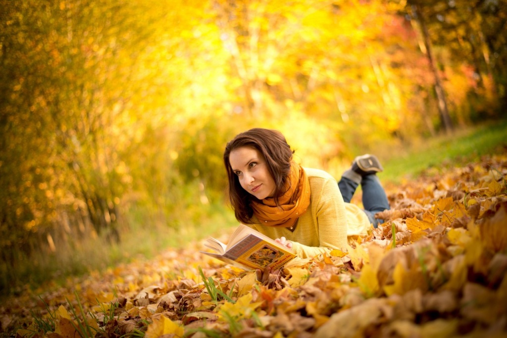 ИП Бастраков Денис Владимирович