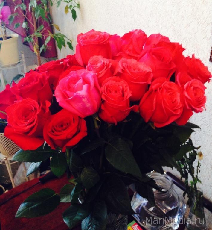 Винокурова Елена Евгеньевна