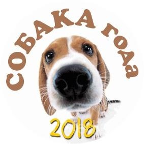 Фотоконкурс Собака года - 2018