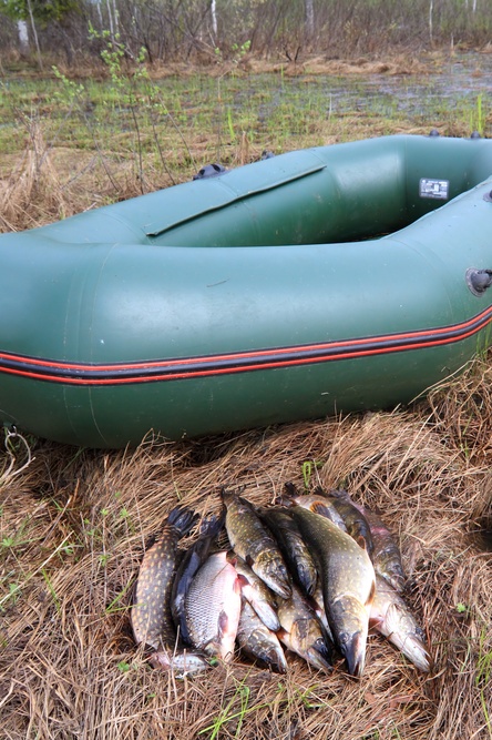 Чемпионат Республики Марий Эл по ловле рыбы - Афиша Йошкар-Олы