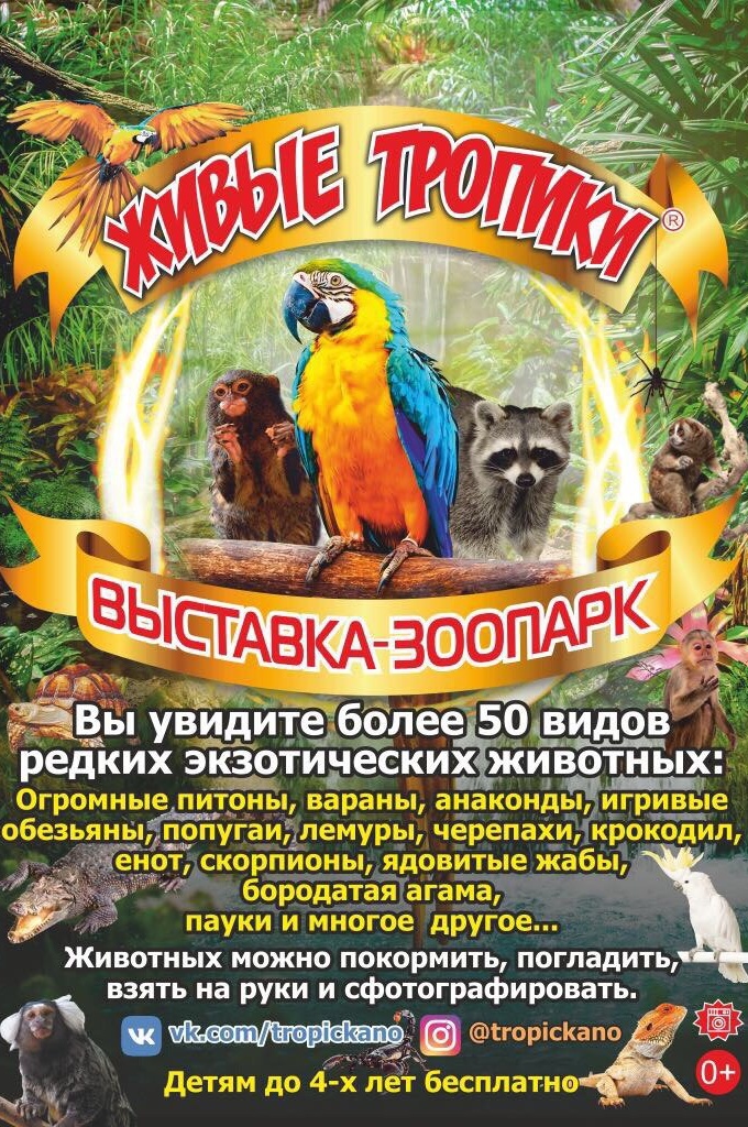 Ярмарка в помощь бездомным животным. Выставки в йошкар оле животных. Выставка кошек йошкар-ола. Выставка кошек йошкар-ола 2022. Объявление для приюта животных.