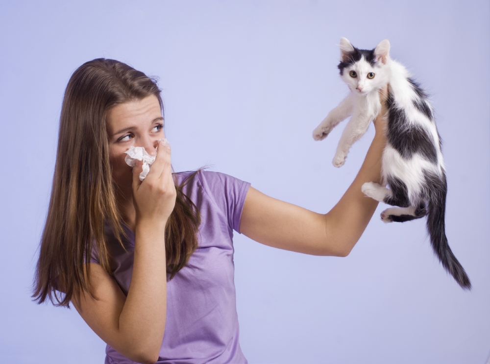 аллергия на домашних животных, лечение аллергии