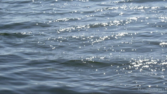 В Йошкар-Оле спасатели МАСС подняли тело утопленника