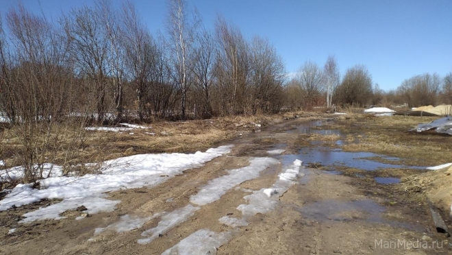 В Марий Эл на этой неделе воздух прогреется до +17ºС