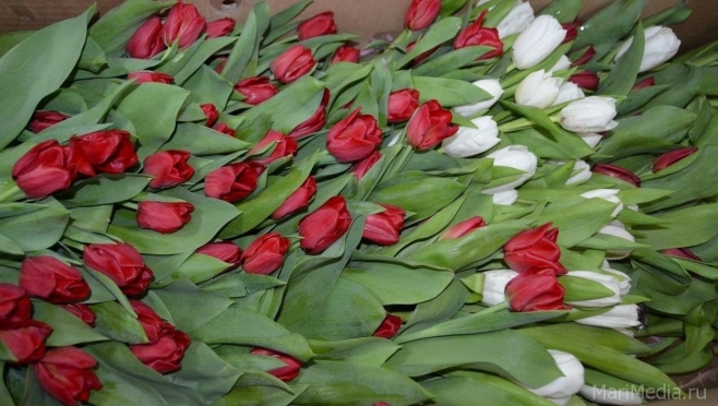 На улицах Йошкар-Олы будут дарить цветы