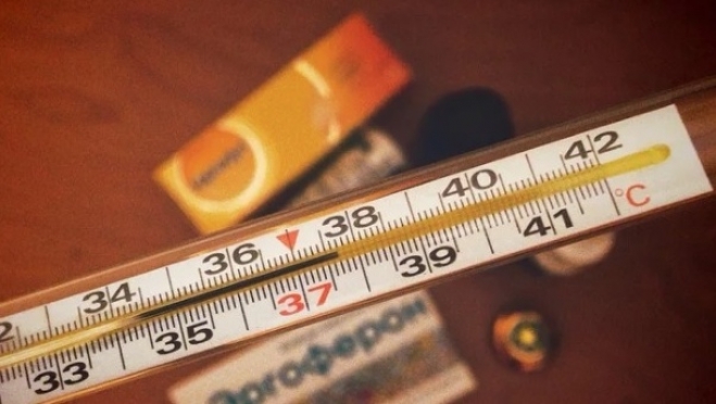 В Марий Эл заболеваемость ОРВИ достигла эпидемического порога