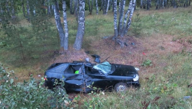 В Горномарийском районе подростки на «двенадцатой» перевернулись в кювет