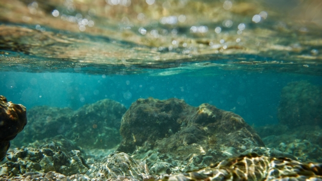 В Марий Эл пройдёт водный конкурс