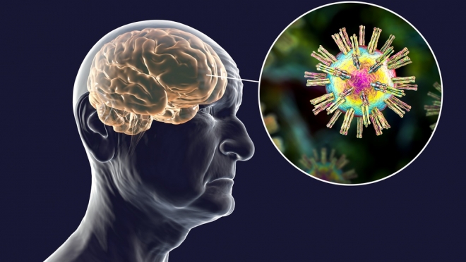 Пермская компания Promobot рассчитала, когда ждать пик четвертой волны COVID-19