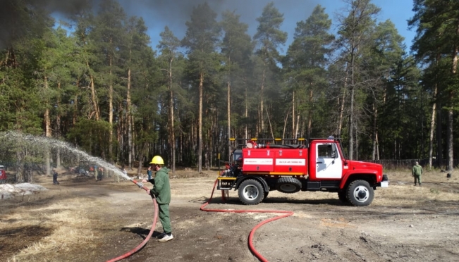 В лесах Марий Эл объявлен IV класс пожарной опасности