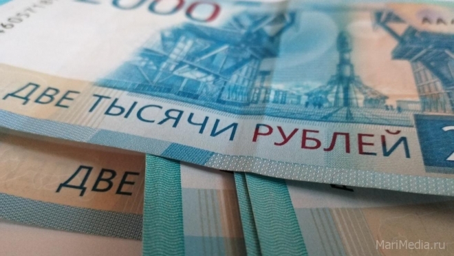 В Марий Эл учредили волонтёрские гранты Главы Марий Эл