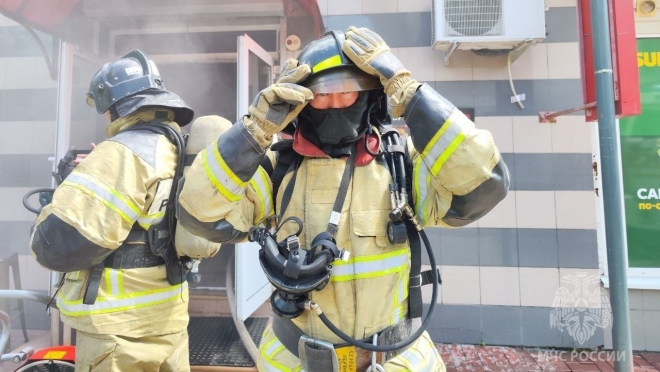 В Марий Эл на пожарах на прошлой неделе погибли два человека