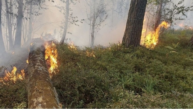 В лесах Марий Эл сохраняется 4 класс пожароопасности