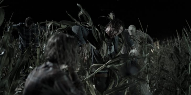 Дети кукурузы