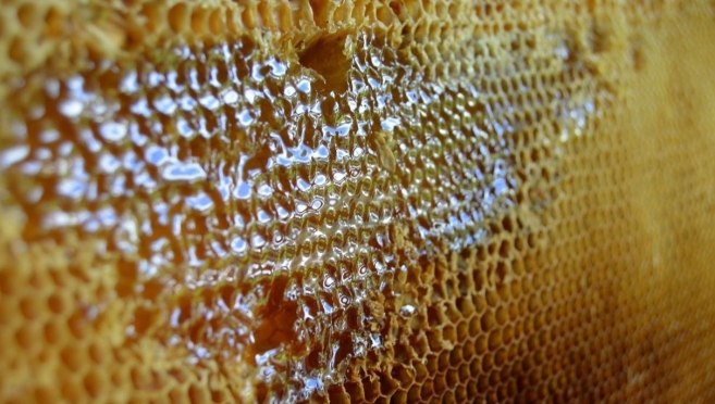 Марийский мёд из деревни Кульшит можно будет купить в магазинах Марий Эл