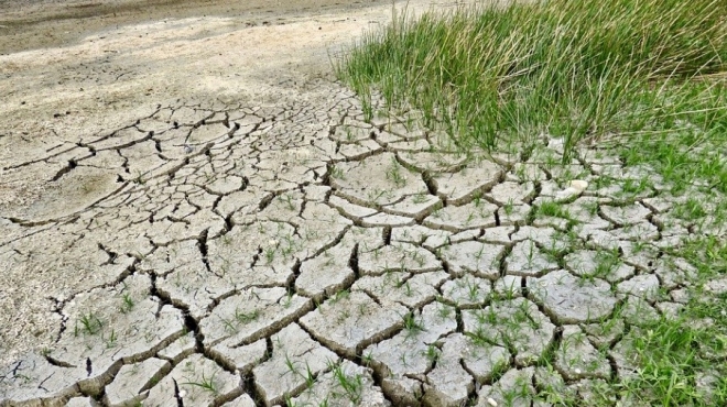 Синоптики прогнозируют рекордно жаркий год