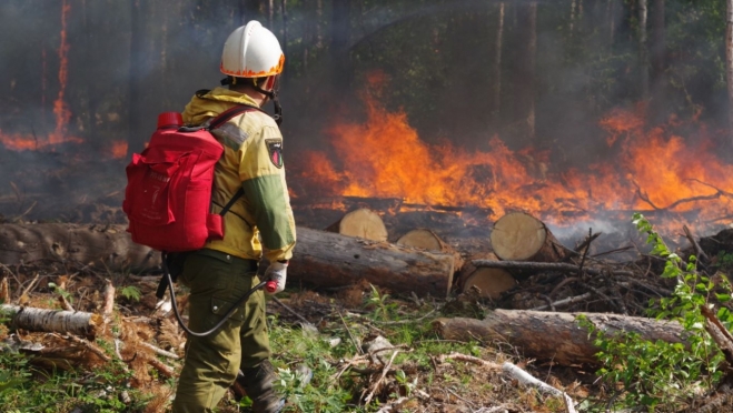 В Звениговском районе зарегистрирован лесной пожар