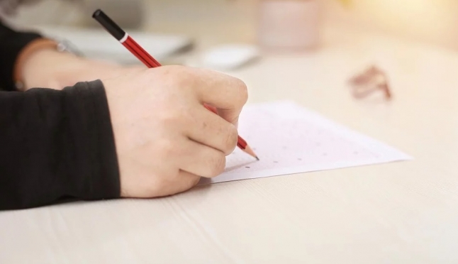 В Марий Эл проходят ВПР по истории и химии