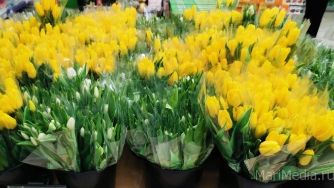 В Нижегородской области торговлю цветами возьмут под особый контроль