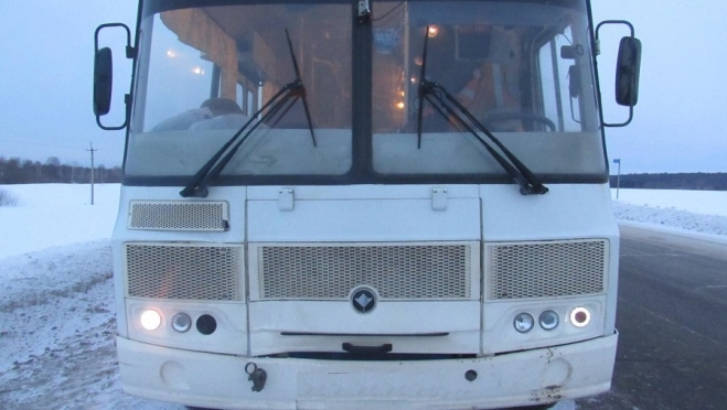 В Звениговском районе под колёсами автобуса погибла женщина