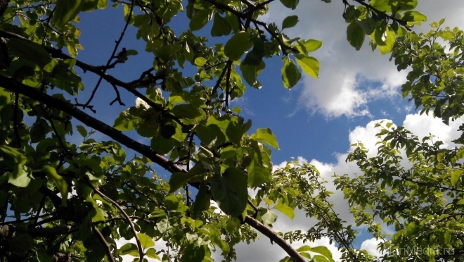 Холодный антициклон смещается на юг, в Марий Эл возвращается тепло