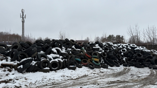 Весь ноябрь в Йошкар-Оле активно сдавали старые автошины