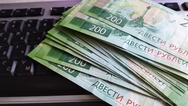 Самозанятые жители Марий Эл могут взять кредит по льготной ставке