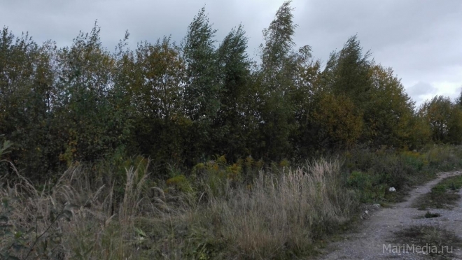 В Марий Эл в 2021 году выявлено 235 нарушений земельного законодательства