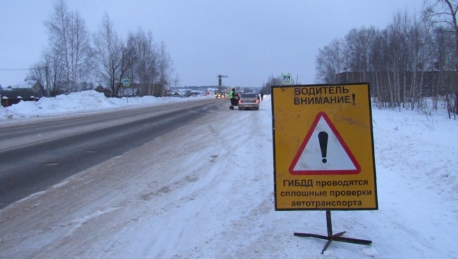 В Горномарийском районе начались тотальные проверки машин с детьми