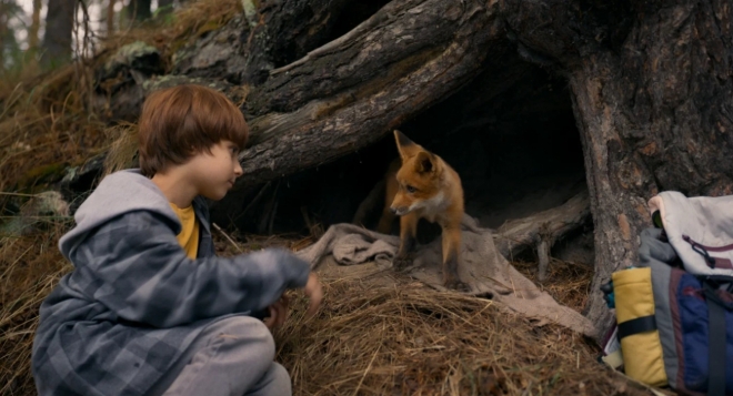 Мой дикий друг