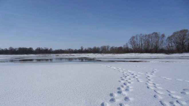 На реке Сердяжка в Сернурском районе спасли человека