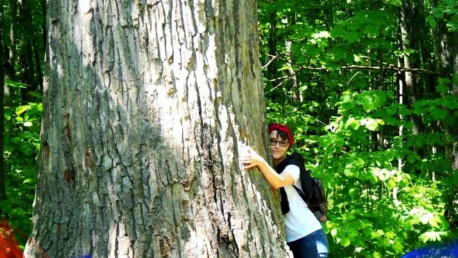 В Марий Эл запустили программу #СохранимДубПугачёва
