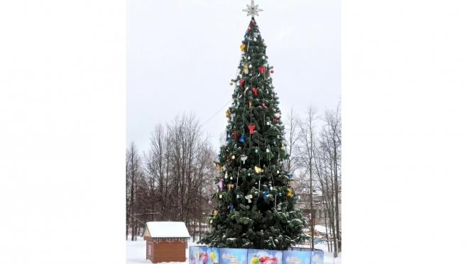 Новогоднюю ёлку возле ДК РА в Йошкар-Оле установили на новом месте