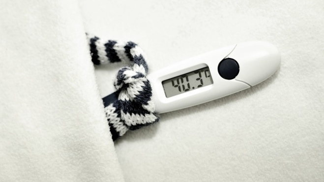 В Марий Эл две школы закрылись на карантин