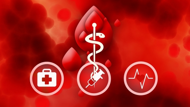 Разработаны новые правила заготовки донорской крови