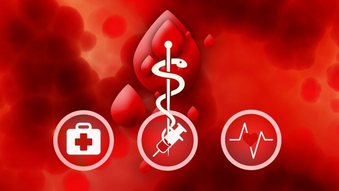 Разработаны новые правила заготовки донорской крови