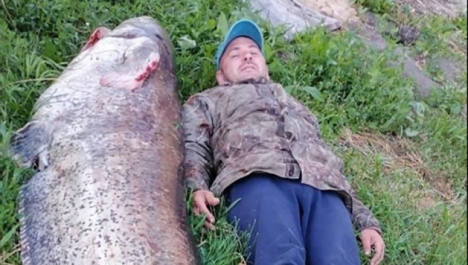 Житель Ульяновска поймал 2,4-метрового сома
