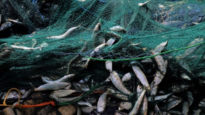 Браконьер из Юрино заплатит за причиненный ущерб