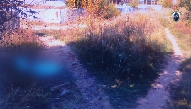 В Волжске двое мужчин в ходе пьяной ссоры забили своего товарища