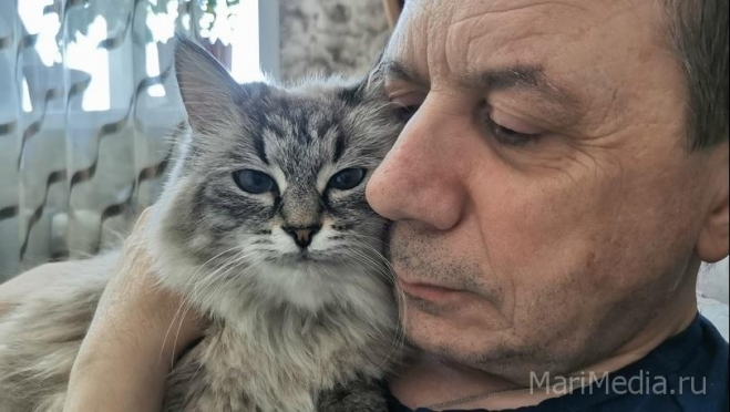 В Марий Эл каждый третий житель – пенсионер