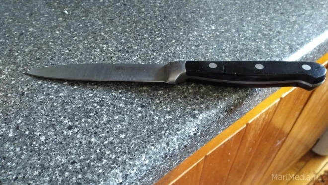 Йошкаролинец в ходе ссоры зарезал сестру