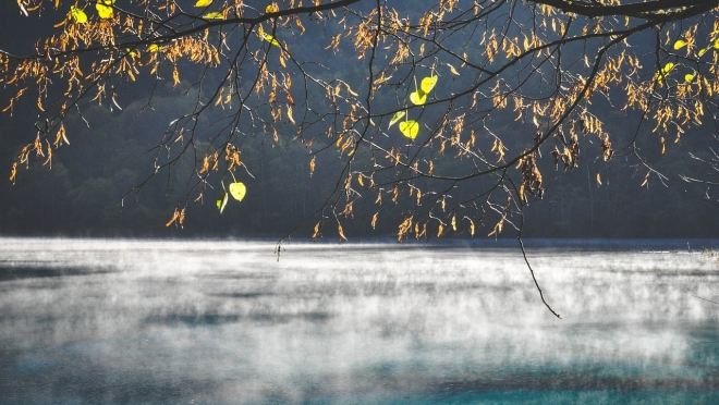 Паромная переправа в Козьмодемьянске работает по новому графику