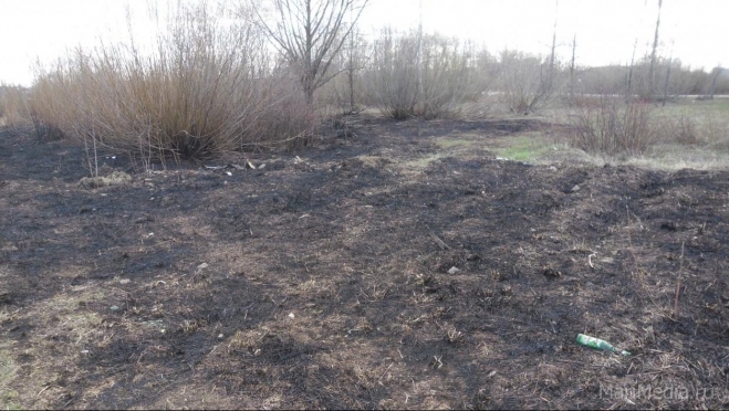 В Звениговском районе из-за пала травы выгорело около 100 кв. метров