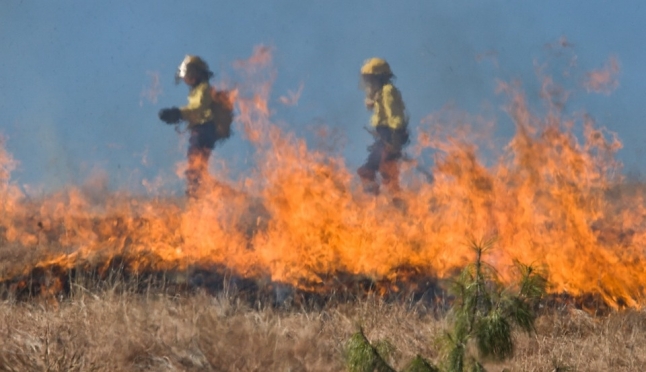 Из-за возгорания травы количество пожаров в Марий Эл увеличилось в 6 раз