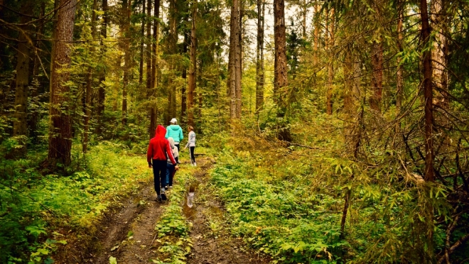 Собрались в лес — наденьте яркую одежду